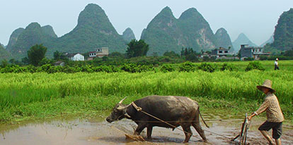 Yangshuo
