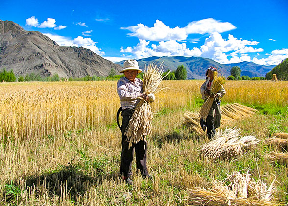 Tibetan People in the Countryside