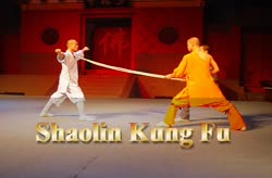 Shaolin Kung Fu Show - 2