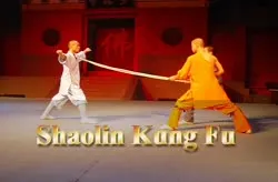 Shaolin Kung Fu Show - 2