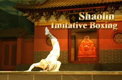 Shaolin Imitative Boxing