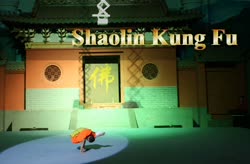 Shaolin Kung Fu