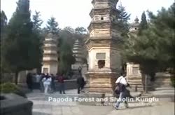 The Pagoda Forest and Shaolin Kung Fu