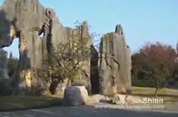 Stone Forest 