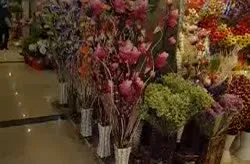 Live Kunming