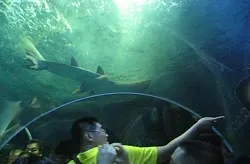 Qingdao Underwater World