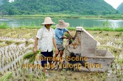 Farming Scene Along the Yulong River