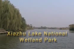 Xiazhu Lake National Wetland Park
