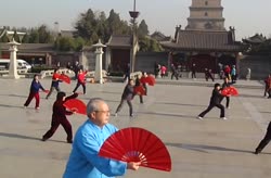 Tai Chi Kung Fu Fan Performance at the Giant Wild Goose Pagoda