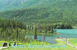Kanas Nature Reserve