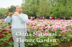 China National Flower Garden 