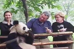 Panda Keeper Program in Chengdu Panda Breeding and Research Center