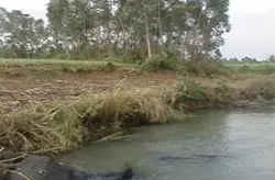 Shipan Stream Waterfall