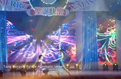 Tang Dynasty Palace Acrobatic Show 1