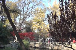 Humble Administrator's Garden 