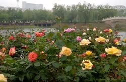 Baigui Lake National Wetland Park