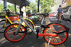 Bike Sharing in China