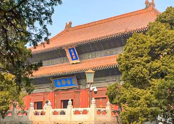 Temple of Confucius & the Museum
