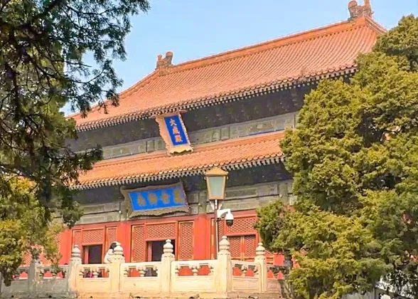 Temple of Confucius & the Museum