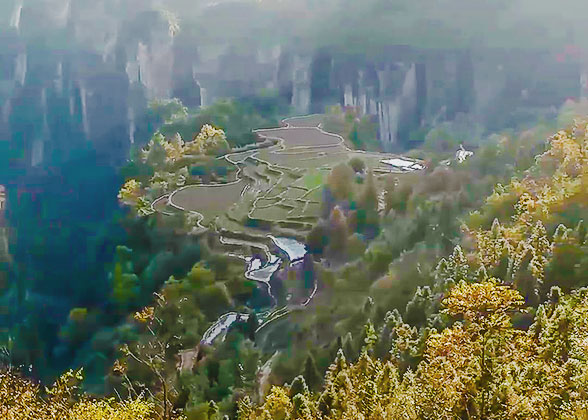 Sky Garden on Tianzi Mountain