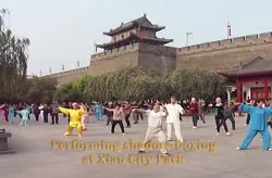 City Wall