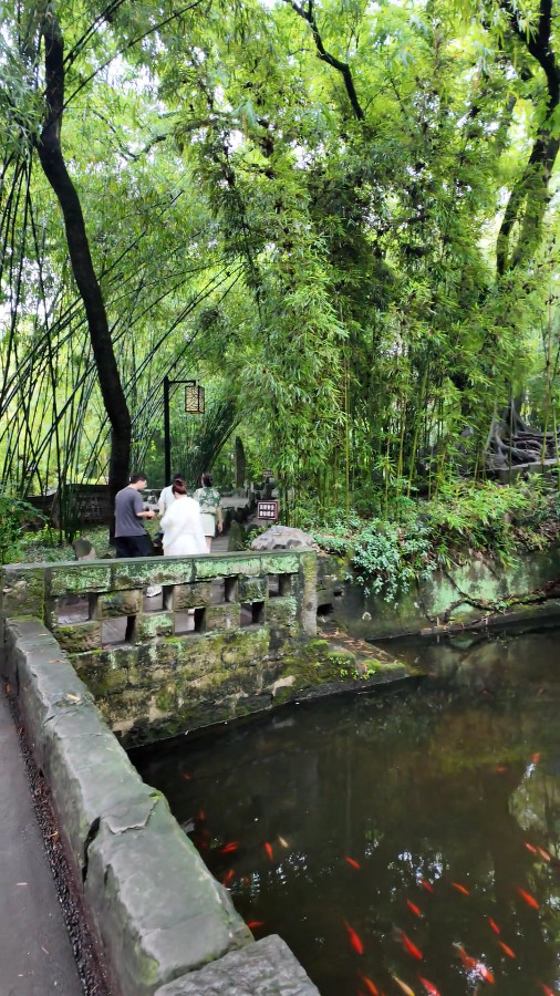 Eling Park on a Cloudy Day, Chongqing