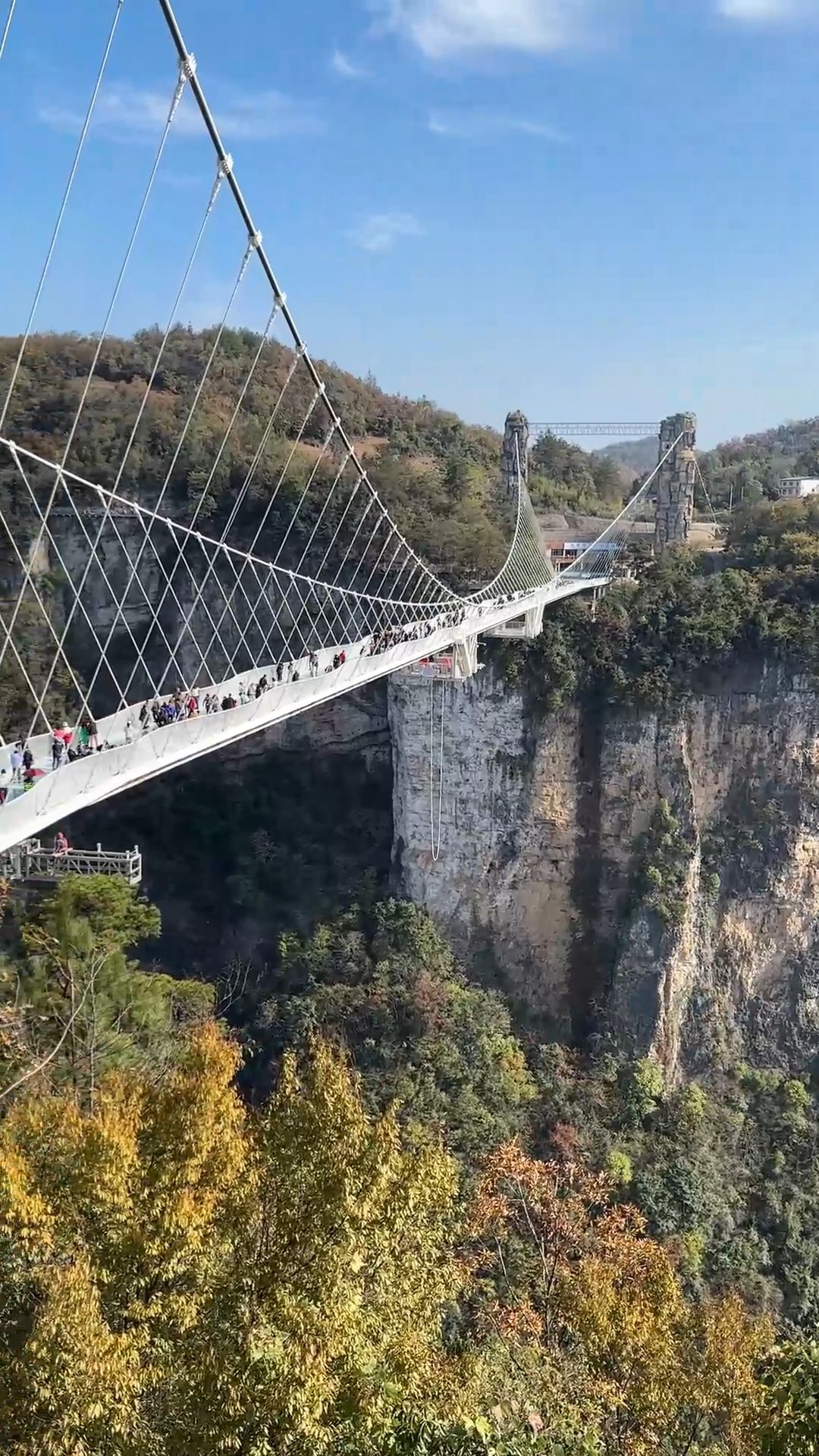 Zhangjiajie Grand Canyon & Glass Bridge