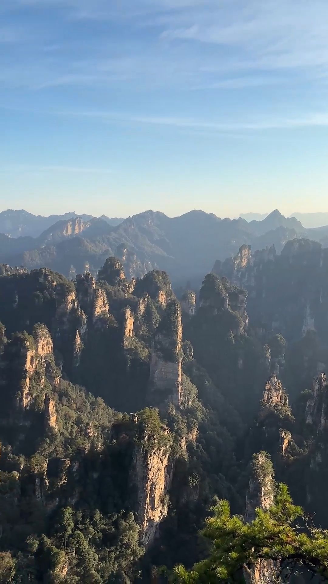 Tianzi Mountain