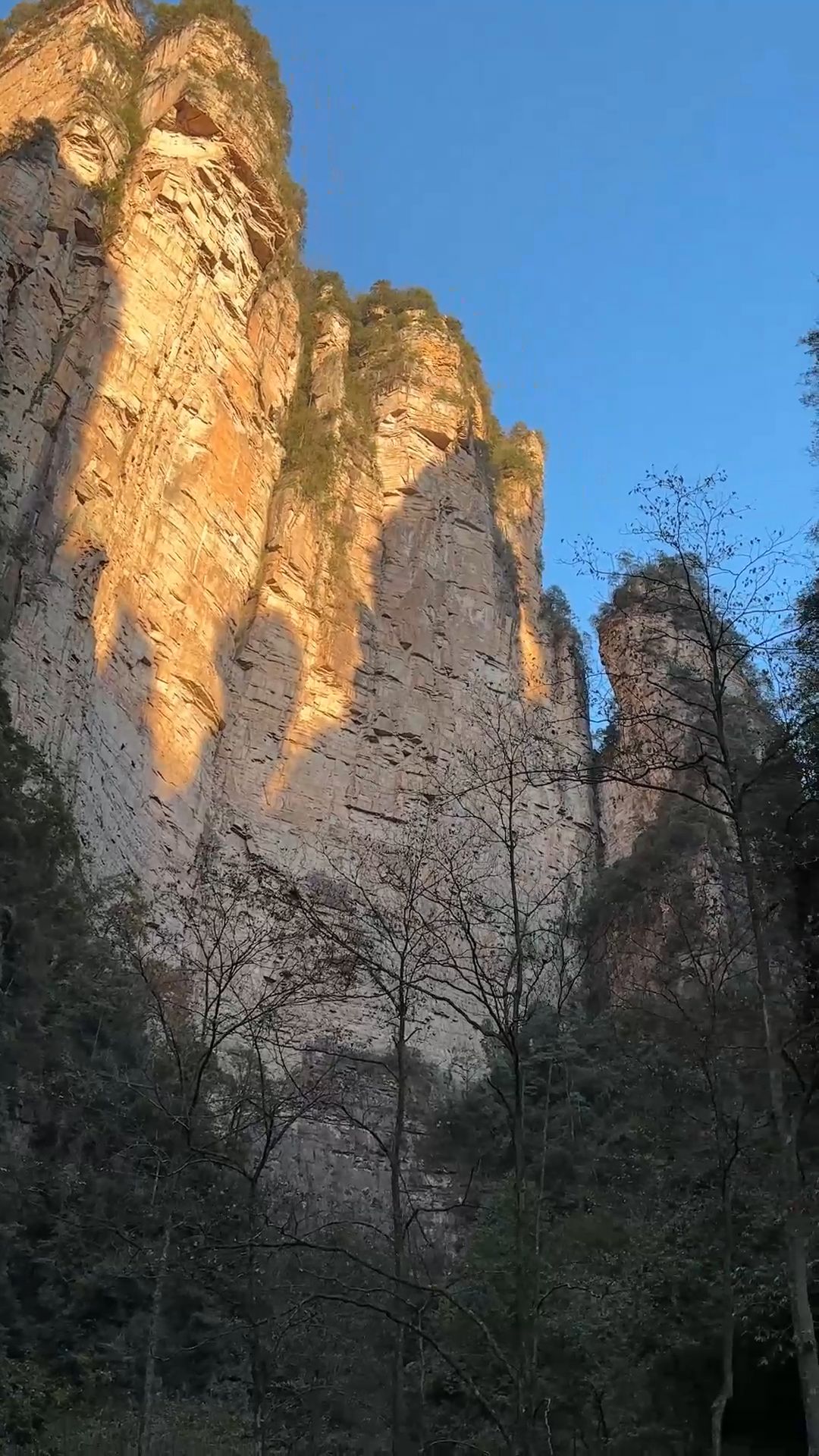 Hike in Golden Whip Stream