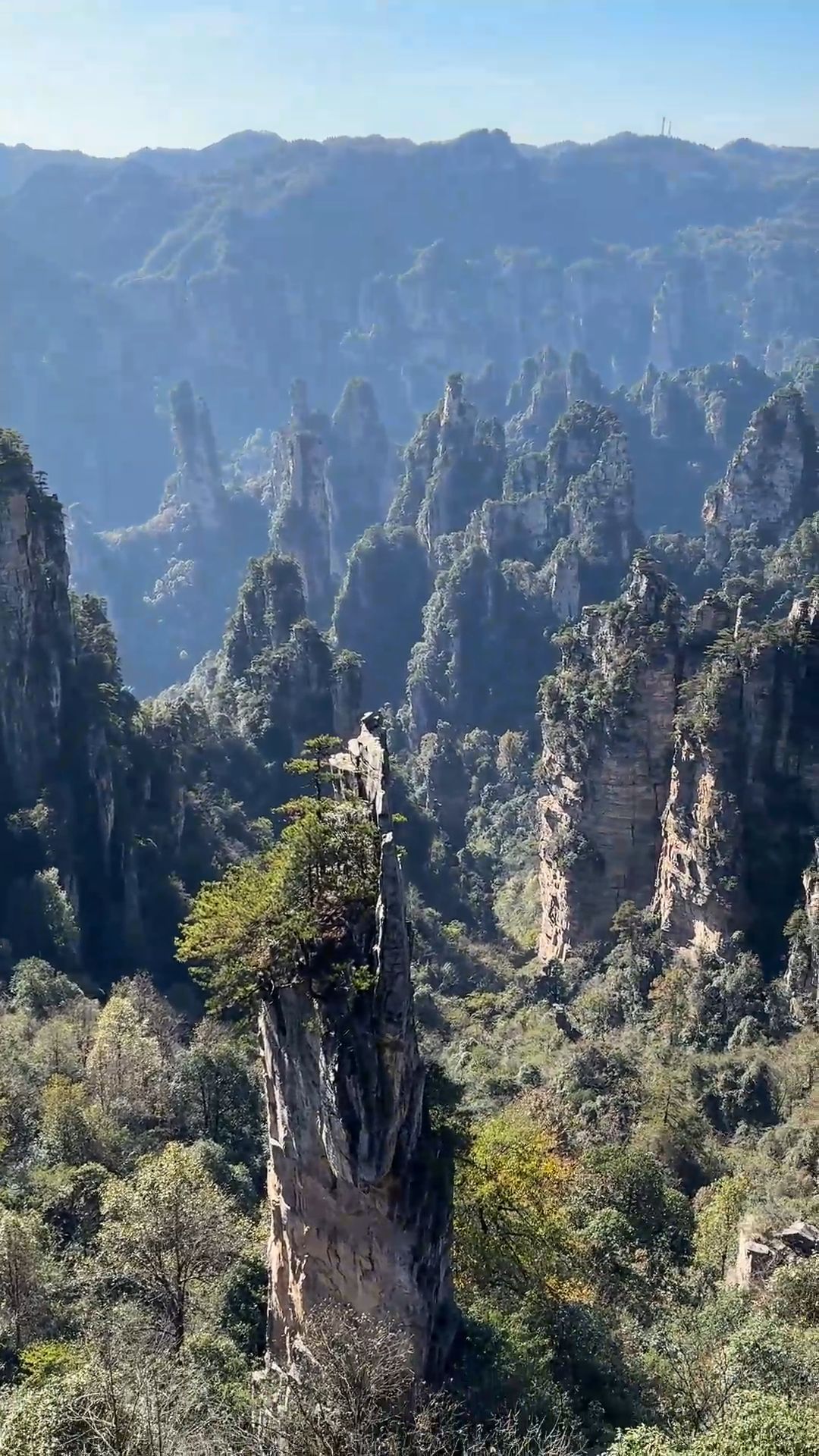 Tianzi Mountain in Zhangjiajie Forest Park