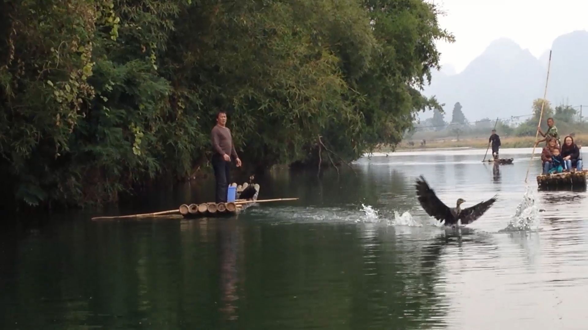 A Local Villager with His Fishing Cormorant