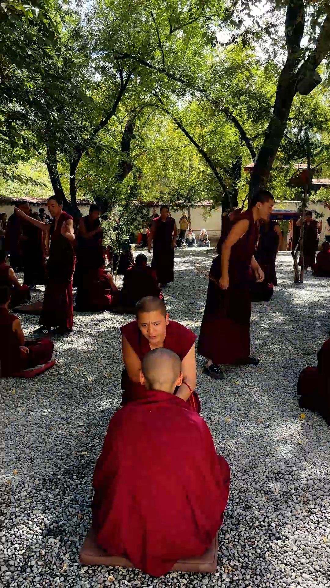 The Debating Monks of Sera Monastery