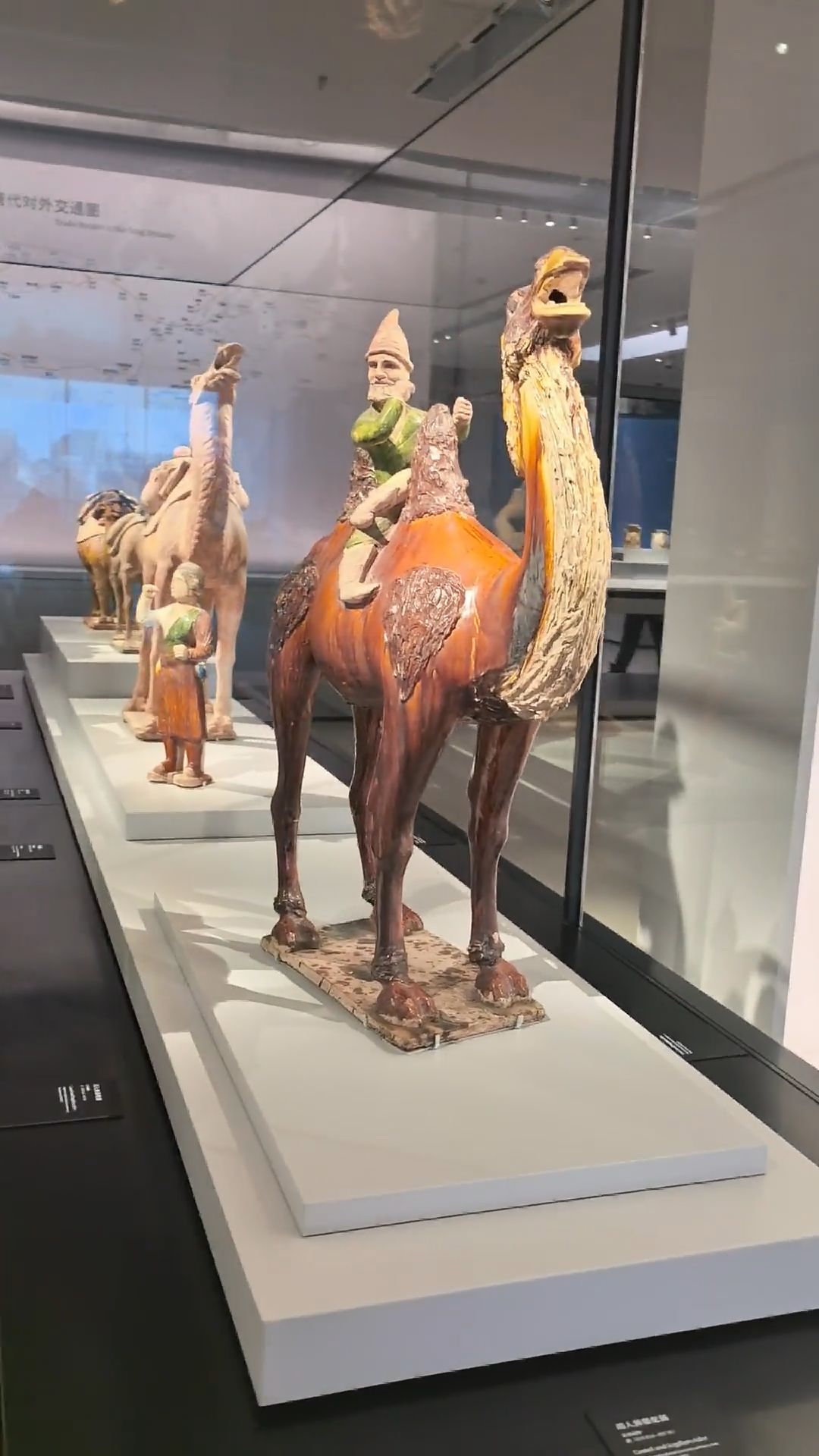Tang Sancai in Shanghai Museum