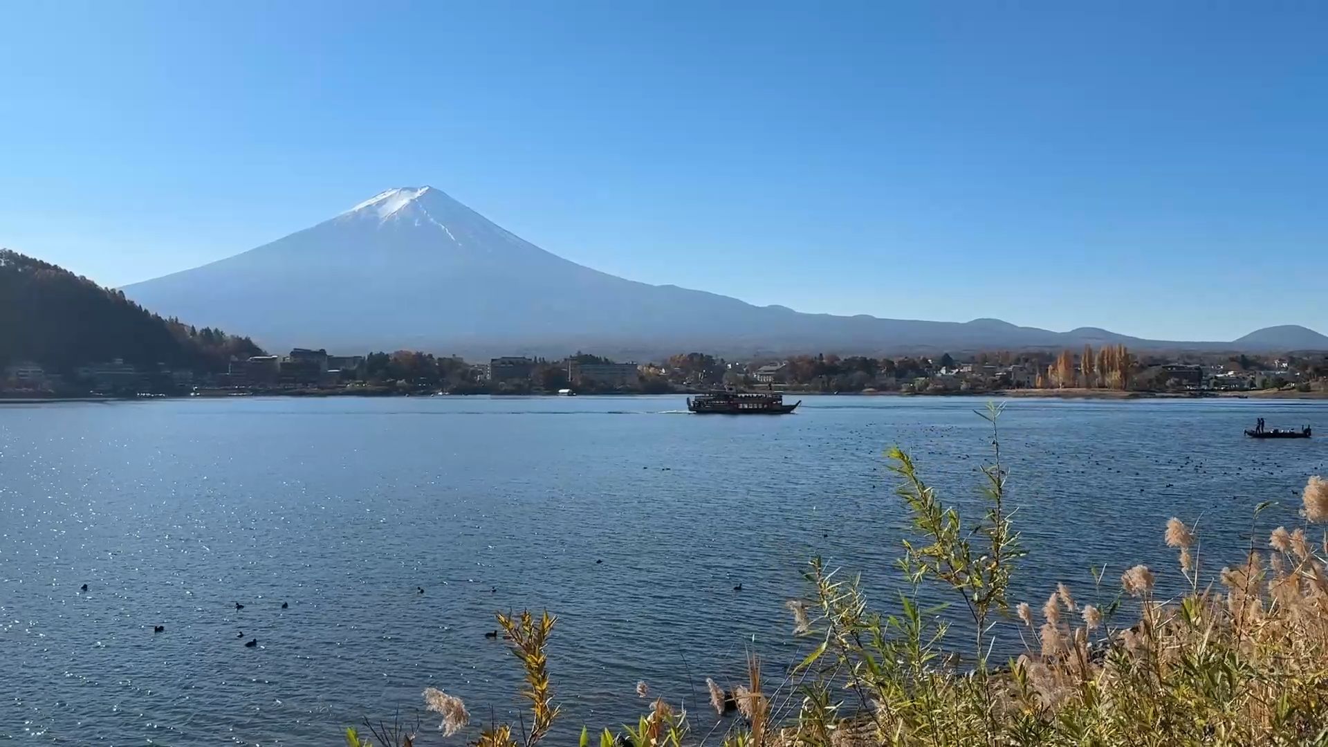 Mt. Fuji