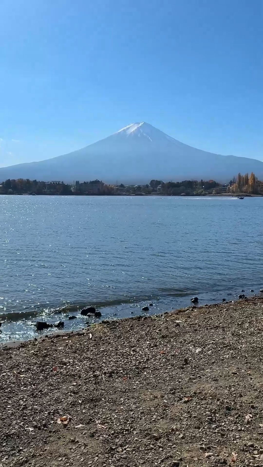 Mt. Fuji