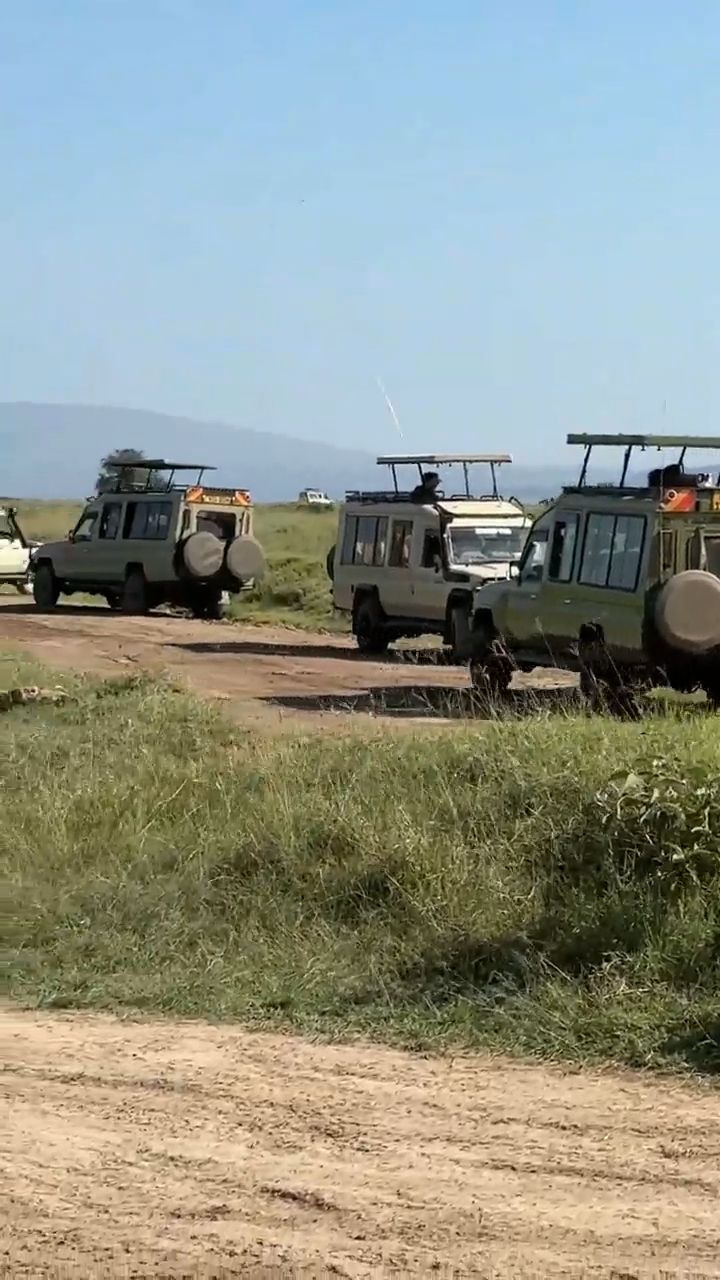 Safari Trip in Kenya