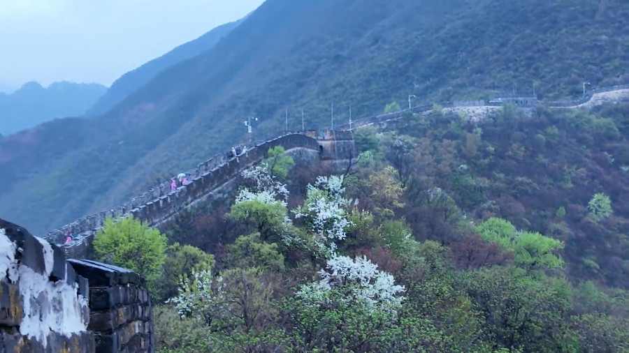 Mutianyu Great Wall with Spring Flowers, Beijing 