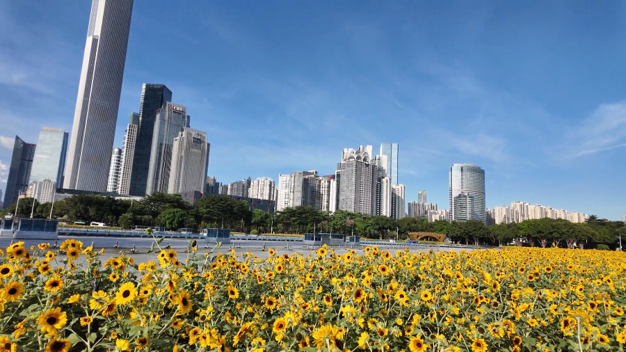 Skyscraper Towers into the Clouds, Guangzhou