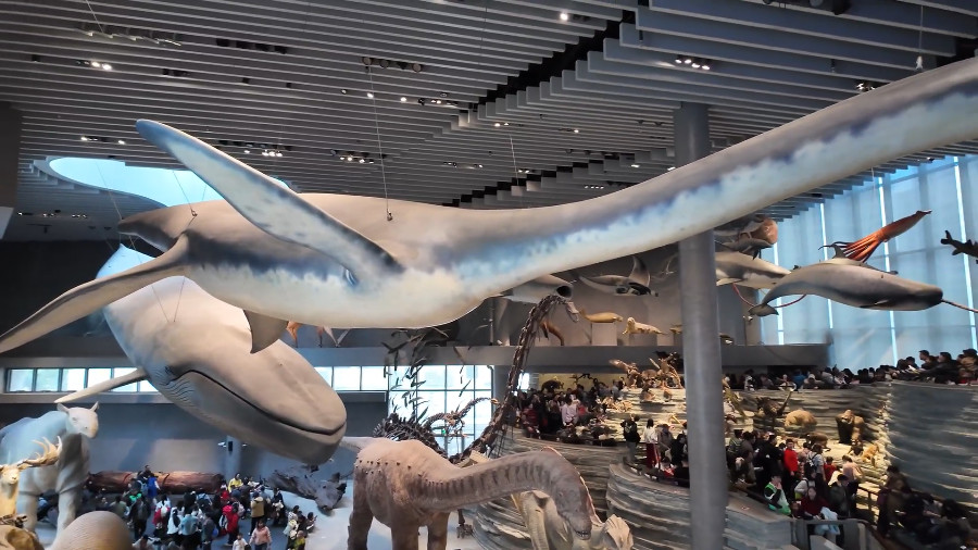 Dinosaurs and Mammoth in Shanghai Natural History Museum