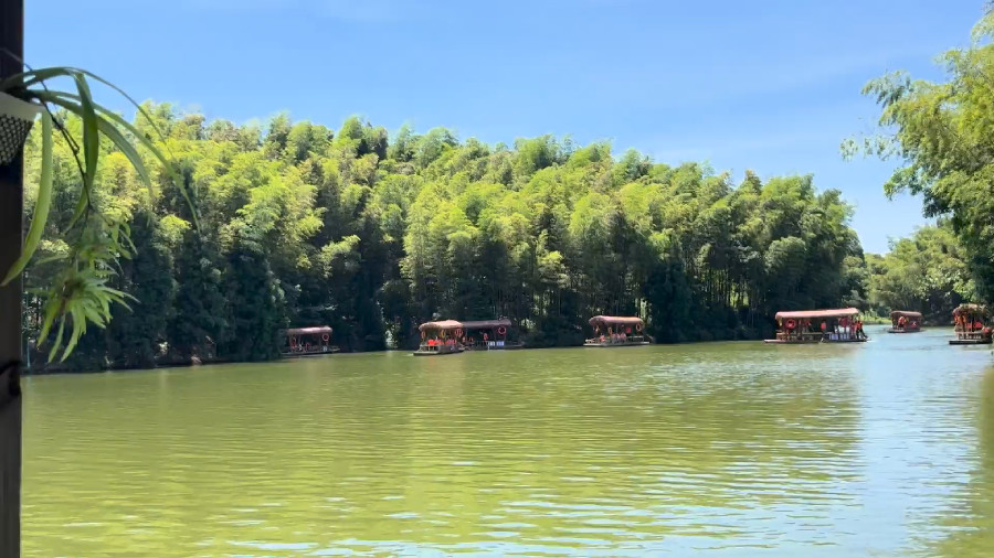 The Green Lake Surrounded by Bamboos Forest, Shunan Bamboo Sea, Yibin