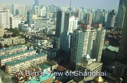 A Bird's View of Shanghai
