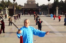 Tai Chi Sword Performance at the Giant Wild Goose Pagoda