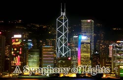 A Symphony of Lights