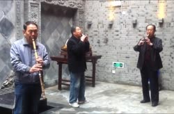 A Musical Instrument Show at the Xian City Wall Park