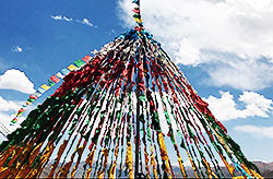 Tibet Discovery