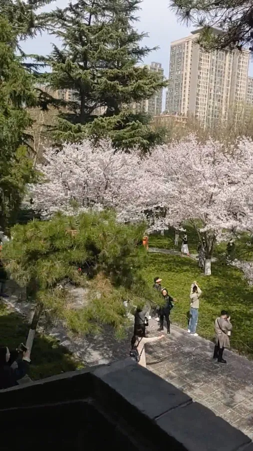 Small Wild Goose Pagoda in Spring