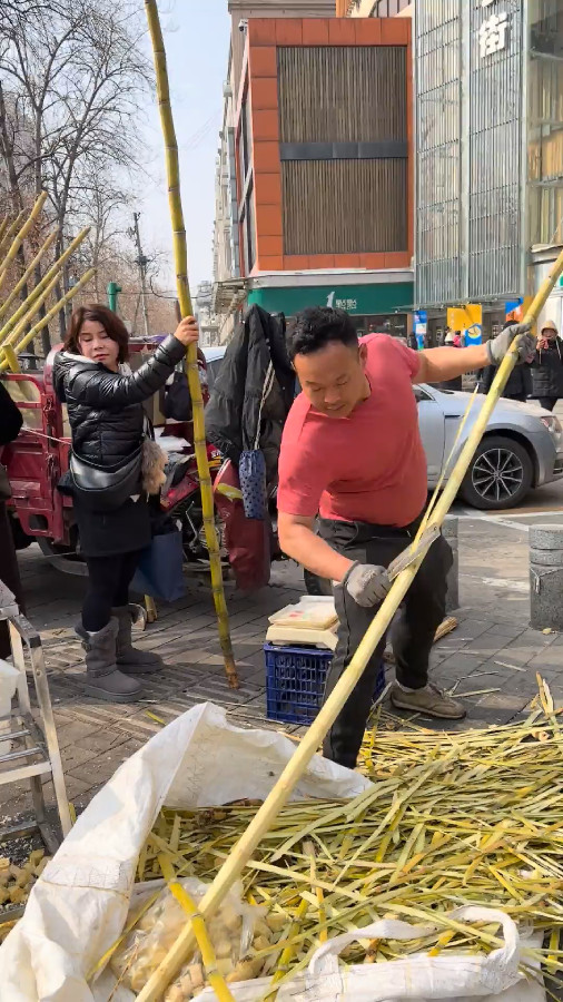 A Street Pedlar Selling Sugarcanes