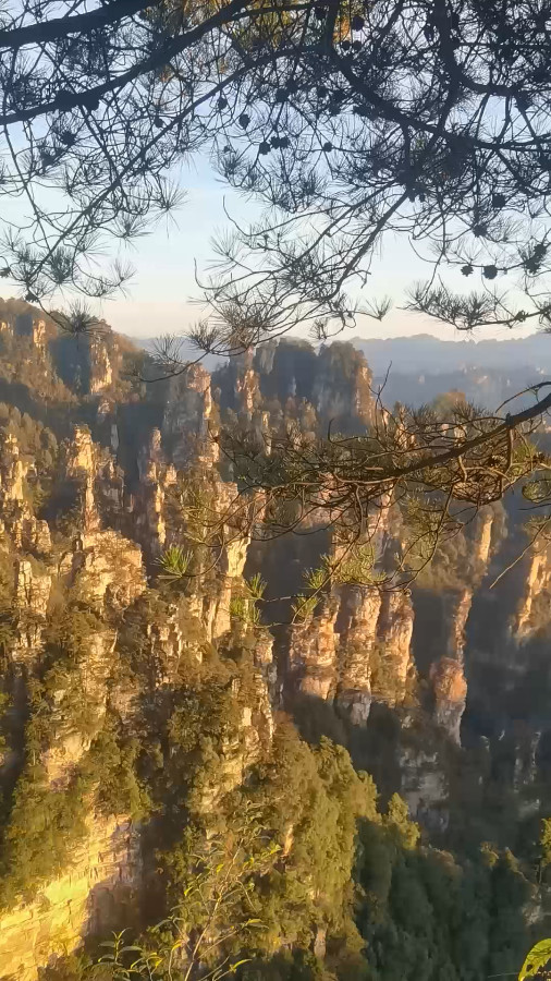 Golden Peaks on Tianzi Mountain, Zhangjiajie Mountain
