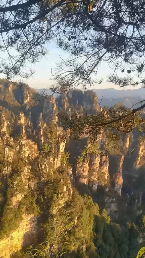 Golden Peaks on Tianzi Mountain, Zhangjiajie Mountain