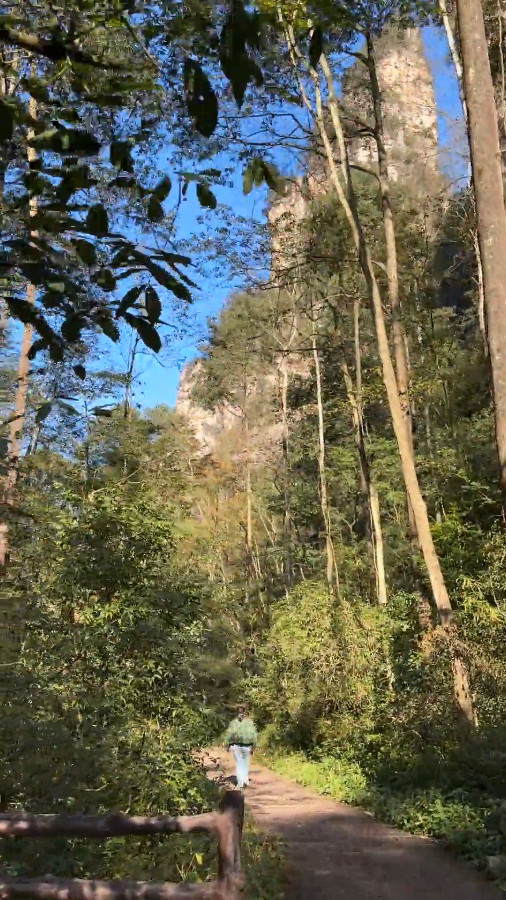 Hiking along Golden Whip Stream